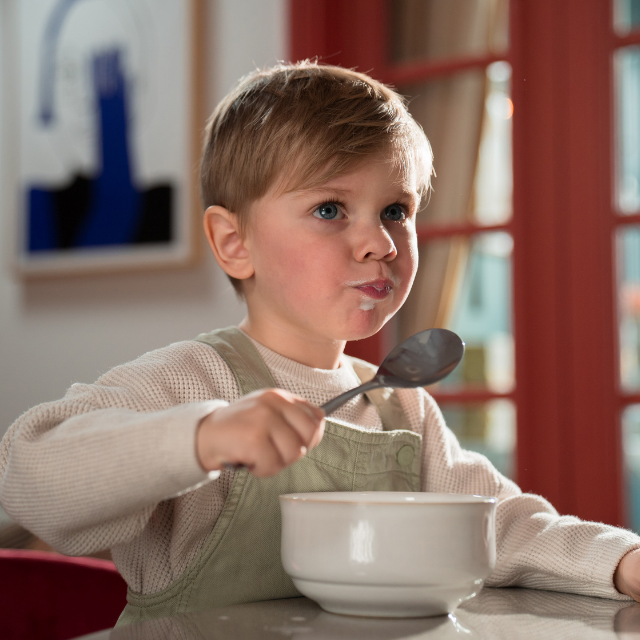 Donate 40 Cereal Boxes