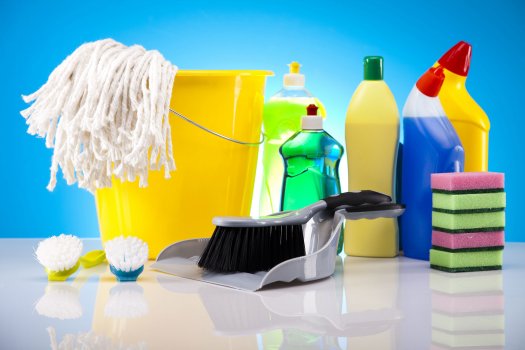 Fall Clean Up