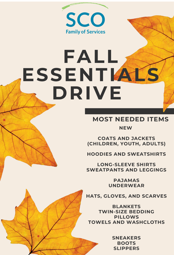 Fall Essentials
