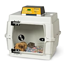 Pet Recovery Incubator Fund - $25